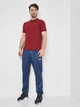 Футболка поло JOMA polo shirt bali ii burgundy s/s 2XL (100748.650) - изображение 3