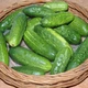 Семена Огурец Парижский корнишон, 1 г (Семена Украины) - изображение 4