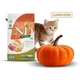Сухий беззерновий корм Farmina Pumpkin Duck & Cantaloupe Melon для дорослих кішок з качкою та гарбузом 5 кг (8010276036131) - изображение 3