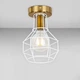Стельова люстра Light House LS-17202F-1 BRZ+WH бронза + білий&nbsp; - зображення 1
