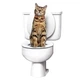 Туалет для кота Citi Kitty система для приучения кошек к унитазу - изображение 3