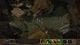 Игра Planescape Torment & Icewind Dale Enhanced Edition для Microsoft Xbox One (диск Blu-ray) - изображение 7