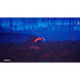 Игра Endling, Extinction is Forever для Nintendo Switch Картридж - изображение 4