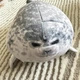 Плюшевая мягкая игрушка Тюлень Seal (20 см) тренды TikTok декор для детской комнаты подарок на день рождения - изображение 7