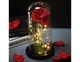 Роза в колбі з підсвічуванням Forever Rose червона - зображення 2