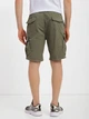 Шорты хлопковые мужские Evoids Metz 362302-350 30 Хаки (2007005311948) - изображение 5