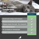 Нейтралізатор запаху котячої сечі ODORCIDE® Cat Odor-Off Fresh Scent 100 мл - зображення 5