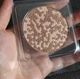 Пробник-запаска бронзуючої пудри MUA Makeup Academy Pixel Perfect Multi-Bronze Sunseeker Sheen Full size - зображення 2