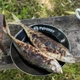 Набор тарелок эмалированных Petromax Enamel Plates 26 см 2 шт Черный (4250435731185) - изображение 4