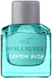 Woda toaletowa męska Hollister Canyon Rush Eau De Toilette Spray 100 ml (85715267535) - obraz 1