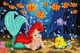 Алмазная мозаика ColorArt Русалочка 20х30 DT708 - изображение 2