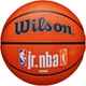 Мяч баскетбольный Wilson JR NBA FAM LOGO AUTH OUTDOOR BSKT size 5 (WZ3011801XB5) - изображение 1