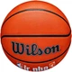 Мяч баскетбольный Wilson JR NBA FAM LOGO AUTH OUTDOOR BSKT size 5 (WZ3011801XB5) - изображение 5
