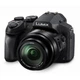 Цифровой фотоаппарат Panasonic DMC-FZ300 (DMC-FZ300EEK) - изображение 8
