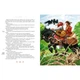 Книга 100 казок (том 1). Українські народні казки - зображення 3