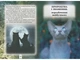 Книга Таємниці кланів. Коти вояки - зображення 2