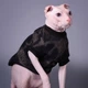 Кофта для кота или кошки с рукавом Style Pets Emerald Black L+ - изображение 2