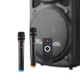 Мощная Акустическая система Su-Kam 150D-7500 mAh Беспроводная Bluetooth колонка +2 радио микрофона + пульт - изображение 9