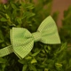 Бабочка Bow Tie House Basic салатовая в зеленый горошек 05714 - изображение 2