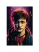 Постер плакат FNBK Гарри Поттер (Harry Potter) 30x40 см - изображение 1