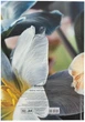 Записна книжка Axent Flora А4 клітинка 192 аркуші Жовта (8423-27-A) - зображення 4