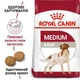Сухий корм Royal Canin (Роял Канін) Medium Adult для дорослих собак середніх порід 1кг - зображення 2