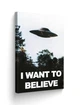 Картина FNBK Я хочу верить (The X-Files) 30x40 см - изображение 2