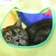 Игровой тоннель для кошек Hvostiki Play, тройной складной тоннель с игрушкой для котов, 32х25 см, разноцветный (68771145) - изображение 2