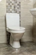 Сиденье-крышка для унитаза KOLLER POOL Orion Eurostandard C9 Soft Close дюропласт - изображение 6