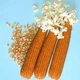 Семена Кукуруза Эстрелла F1, попкорн, 20 шт (Lark Seeds) - изображение 3