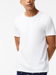 Набор футболок хлопковых длинных мужских Lacoste 501989868 S 3 шт Белый (1159785759) - изображение 1