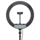 Тримач з кільцевим освітленням Bluetooth 12 " YQ-320B light set (Kit1) |170cm Stand, USB Powered, 3000-6500K| - зображення 6