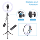 Тримач з кільцевим освітленням Bluetooth 12 " YQ-320A light set (Kit2) |170cm Stand, Plug Powered, 3000-6500K| - изображение 1