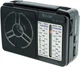 Радиоприёмник всеволновой Golon RX-607 AC Black (2_000870) - изображение 1