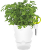 Вазон Elho Brussels Herbs All-in-One Білий (274696) - зображення 4