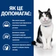 Сухий корм для котів Hill's Prescription Diet Digestive Care i/d 8 кг - курка - изображение 4