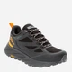 Мужские кроссовки для треккинга Jack Wolfskin Terraventure Texapore Low M 4051621-6000 39.5 (6UK) 24.2 см Черные (4064993717365) - изображение 2