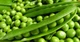 Семена Горох Овощное чудо, 10 г (GL Seeds) - изображение 3