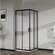 Стеклянная душевая кабина AVKO Glass RDR06, 190х90х90 Black - изображение 1
