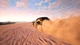Игра Dakar 18 для Xbox One/Series - Europe (Ключ активации) - изображение 5