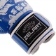 Перчатки боксерские FLEX на липучке Zelart SKULL BO-5493 (р-р 8oz, синий) - изображение 3