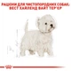 Cухий корм для собак Royal Canin Adult West Highland White Terrier 3 кг - изображение 4