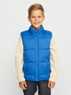 Детский стеганый дутый жилет для мальчика Coccodrillo Outerwear Boy Junior ZC2178101OBJ 140 см Голубой (5904705933517) - изображение 1