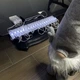 Гирлянда Прищепка светодиодная для фото, 20 LED, 3 м, батарейки 3шт + USB, цвет холодный белый - изображение 3