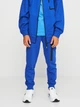 Дитячі спортивні штани-джогери Coccodrillo Everyday Boy A ZC3120101VBA-015 92 см Сині (5904986182413) - зображення 1