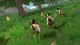 Игра Shoppe Keep 2 для ПК (Ключ активации Steam) - изображение 4