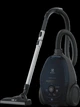 Пылесос для сухой уборки Electrolux PD82-4ST - изображение 2