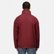Дождевик Regatta Dover Waterproof Insulated Burgundy, 4XL (56) (11454358) - изображение 2