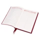 Щоденник А5 Leo Planner недатований "Velvet" бордовий - зображення 9