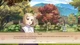 Ключ активации Embraced By Autumn для Xbox One/Series S/X - изображение 4